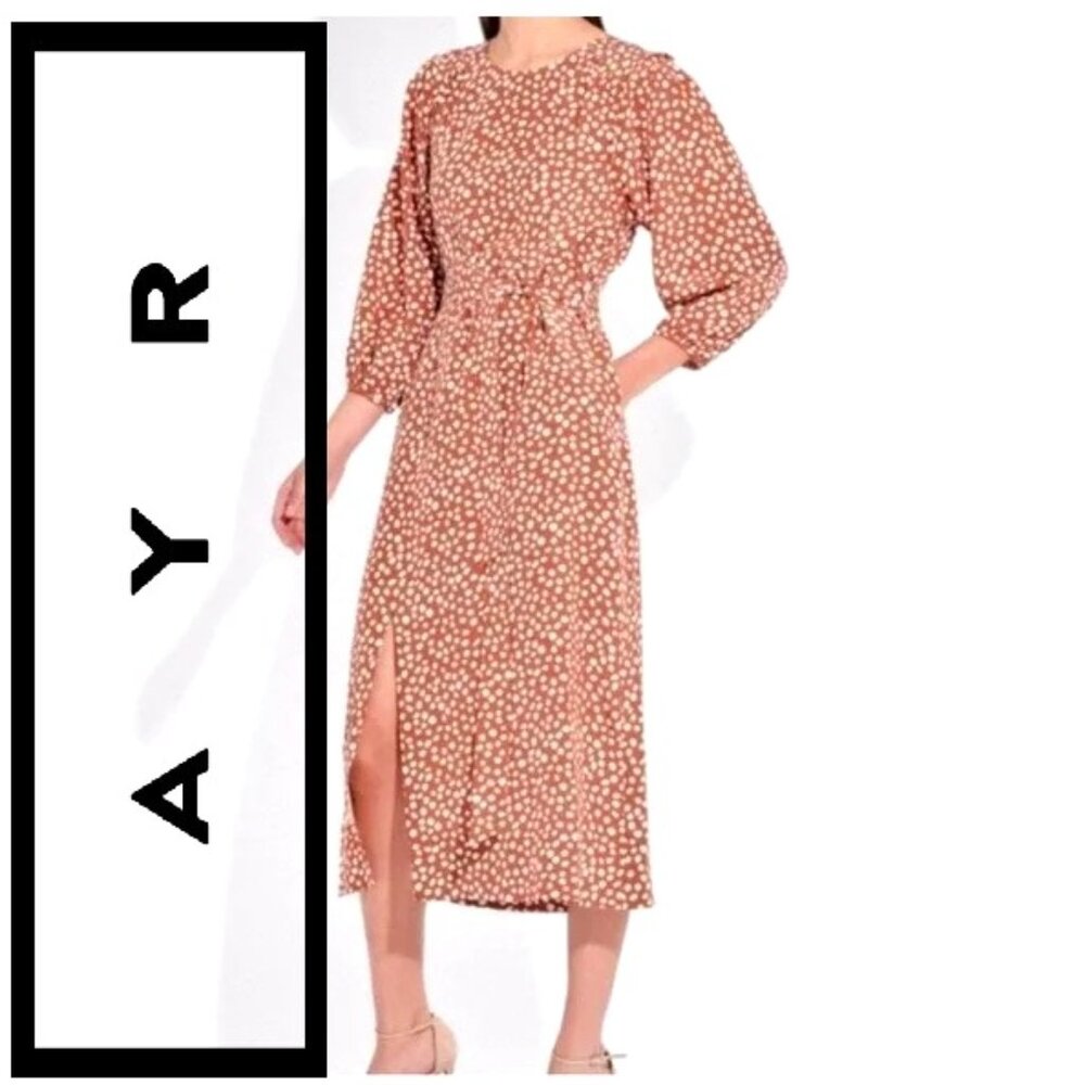 AYR 100% Silk Maxi Dress